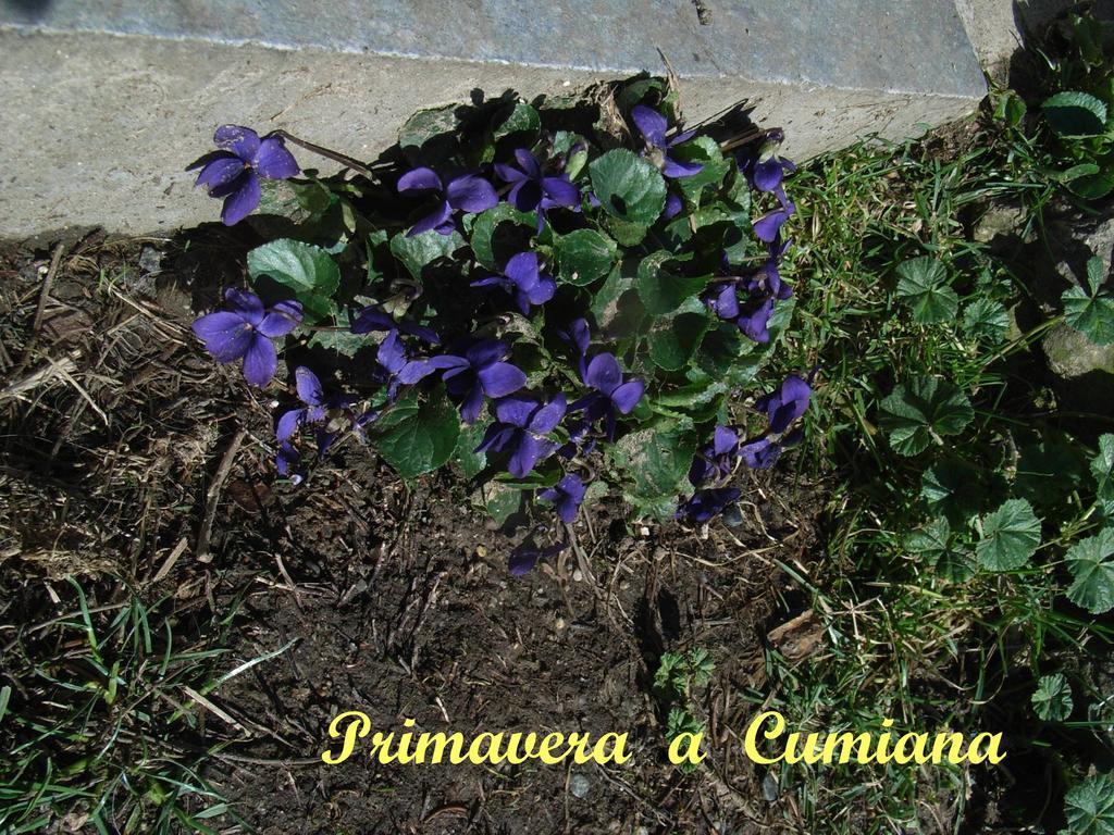 U Tej Bed and Breakfast Cumiana Buitenkant foto