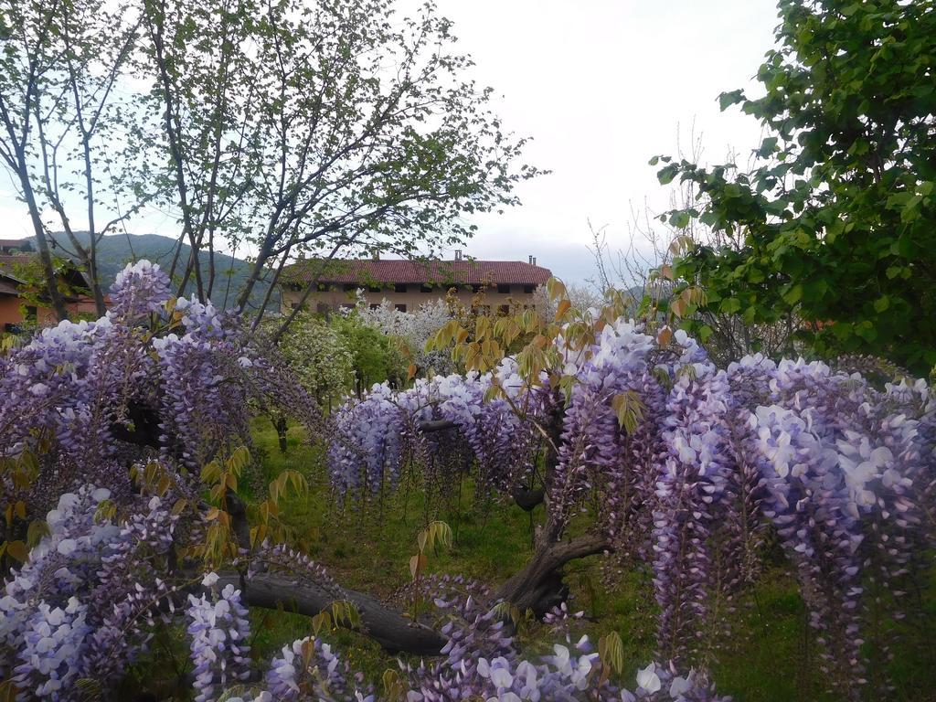 U Tej Bed and Breakfast Cumiana Buitenkant foto