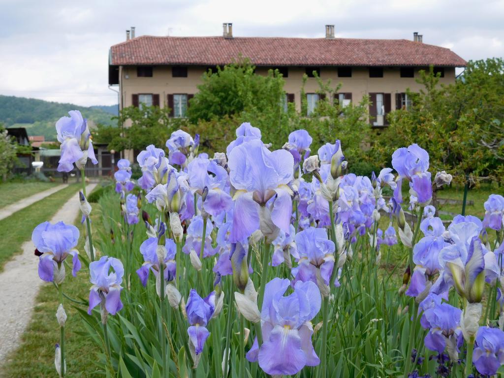 U Tej Bed and Breakfast Cumiana Buitenkant foto