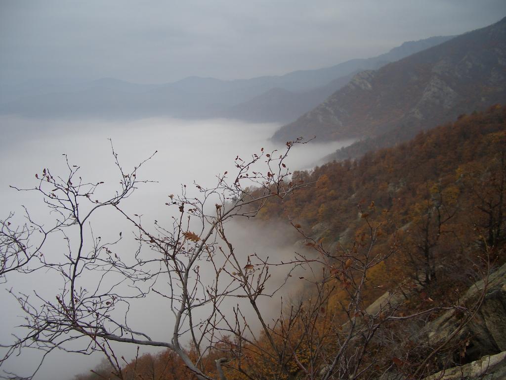 U Tej Bed and Breakfast Cumiana Buitenkant foto